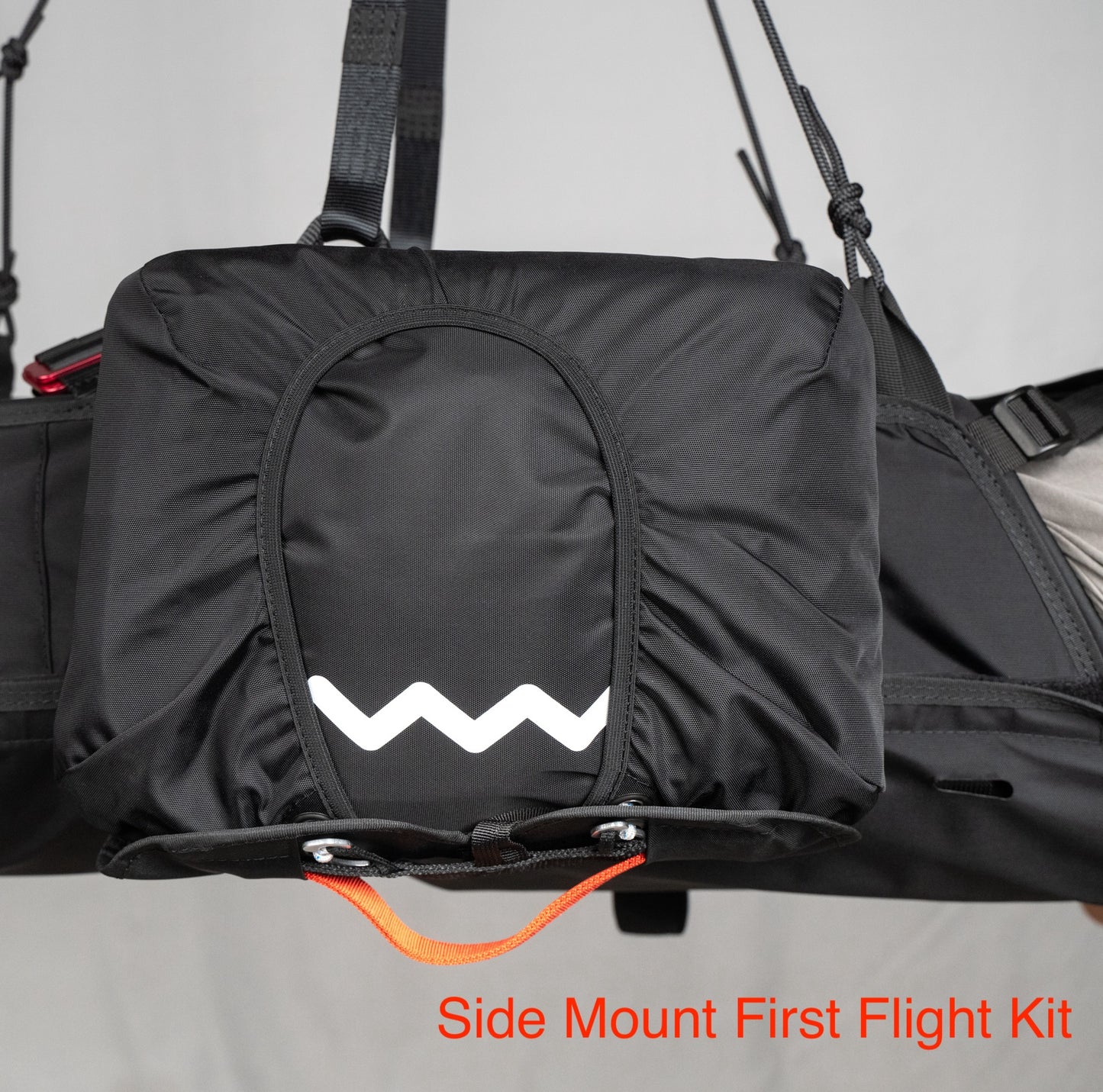 Cabrio Training Harness